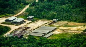 Loreto: anulan sentencia contra empresa acusada de deforestar casi 2 mil hectáreas