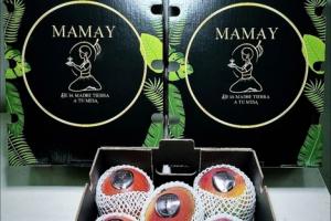 "Los mercados están pagando de seis a diez veces más por los mangos que la temporada pasada"