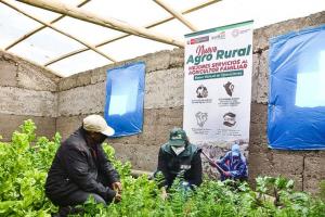 Más de 257.000 productores se benefician con intervenciones de Agro Rural