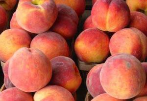 MELOCOTÓN, CAPSICUM, TORONJA Y TRUCHA CON POTENCIAL EN MERCADO RUSO