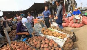 Mercados mayoristas alternativos en Lima se mantienen abastecidos de alimentos
