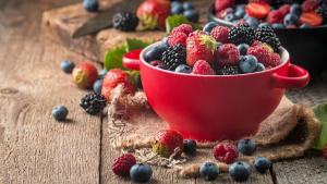 México fortalece su liderazgo en berries y proyecta crecimiento sostenido