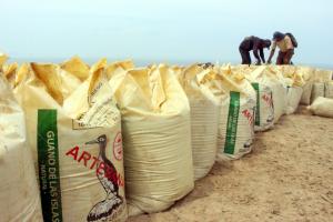 Midagri alista paquete de apoyo a productores agrarios afectados por alza de fertilizantes