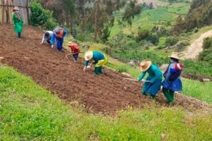 Midagri cuestiona proyectos de leyes que impulsan cambio de norma de uso de tierras