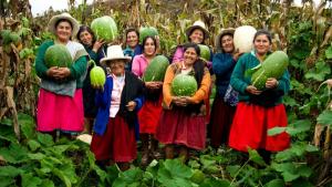 Midagri: Más de 150.000 pequeños productores agrarios en Perú forman parte de cooperativas
