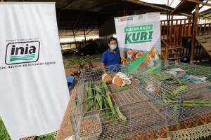 Midagri y Municipalidad de Pachacámac fortalecen la agricultura familiar