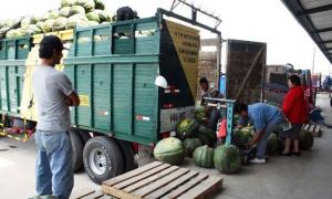 Minagri evalúa asumir flete de camiones que transportan alimentos