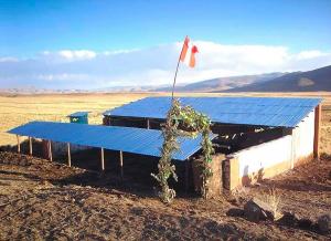 Minagri instalará 1.765 cobertizos para proteger ovinos y alpacas ante impacto de heladas