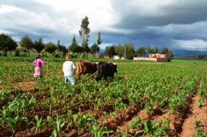 Minagri lanzó metas del sector agrario en el marco de la Agenda de Conmemoración del Bicentenario