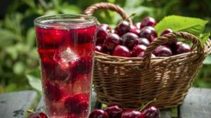 Minagri: Se están haciendo pruebas de cultivo de cerezas en el Perú