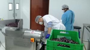 Ministerio de la Producción ayuda a productora moqueguana a transformar su materia prima en pasta de aceituna