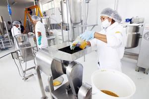 Mipymes del sector agroindustrial fabricarán alcohol desinfectante con uva y papa