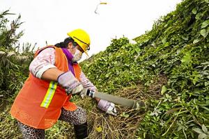 Mujeres rurales representan el 35% de jornales en mantenimiento y limpieza de canales y drenes