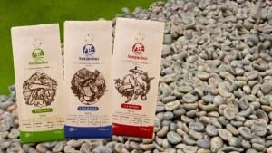 Norandino proyecta procesar más de 450 mil quintales de café este año