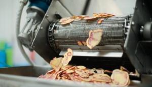 Nuevas semillas se alistan para mejorar cuatro productos de agroexportación