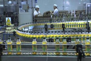 Olivicultores de Tacna visitaron fábricas en Europa