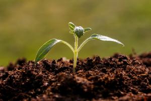 Perú, Canadá, Colombia y El Salvador se suman a programa Suelos Vivos de las Américas