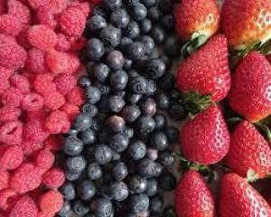Perú celebrará el Simposio Internacional de Berries por tercer año consecutivo