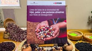 Perú: Centro de la diversidad genética del frijol
