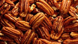 Perú cuenta con más de 3.700 hectáreas de pecano