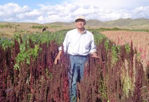 PERÚ DEBE CREAR INSTITUTO DE LA QUINUA PARA POTENCIAR CALIDAD DEL PRODUCTO