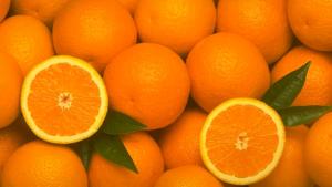 Perú exportó 4.940 toneladas de naranja por US$ 3 millones en el primer semestre de 2025