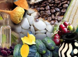 Perú ganó 45 casos de biopiratería en el mundo durante 2018