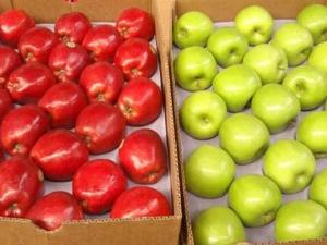 Perú importó manzanas por US$ 37.7 millones durante 2022