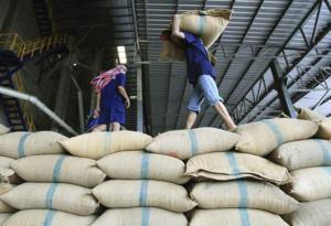 Perú importó más de 291 millones de kilos de arroz el año pasado