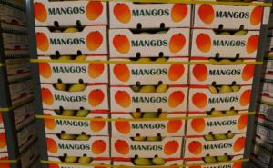 Perú incrementa sus exportaciones de mango y Países Bajos es su principal comprador