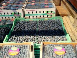 PERÚ SE CONSOLIDÓ COMO UNO DE LOS PRINCIPALES EXPORTADORES DE ALIMENTOS A ESTADOS UNIDOS EL 2015