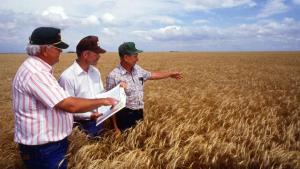 Perú sede de la próxima reunión del Tratado Internacional sobre Recursos Fitogenéticos