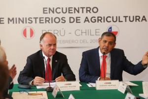 Perú y Chile se aliarán para promocionar las agroexportaciones en Asia