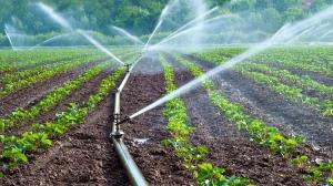 Peruanos lideran participación en América Latina sobre capacitación virtual en temas de riego agroindustrial