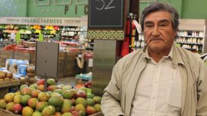 Piura: 12 mil hectáreas de mango kent en el valle de San Lorenzo se podrían quedar sin producir en la campaña 2025/2026