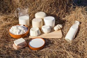 Piura produjo más de 51 millones de litros de leche en el  2025