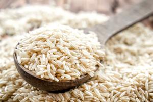 ¿Por qué Camposur proyecta importar 24 mil toneladas de arroz?