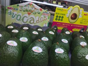 Potencial de la palta peruana en Japón