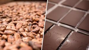 Precio del cacao supera los US$ 7.000 la tonelada y rompe los máximos históricos