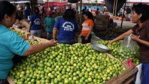 Precio del limón subió hasta S/10 el kilo y en noviembre alcanzaría su mayor costo