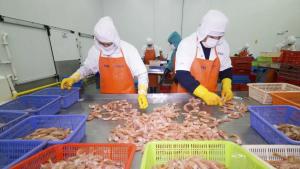 Prepublican reglamento de sanciones para garantizar inocuidad de productos hidrobiológicos