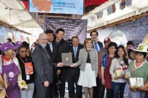 PRESENTAN LIBRO QUE “DESCUBRE” LA EVOLUCIÓN DE LA QUINUA