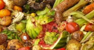 PRESENTARÁN INFORME SOBRE  IMPACTO AMBIENTAL DE LOS DESPERDICIOS DE ALIMENTOS