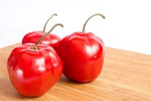 Preservarán genotipo de 300 variedades de rocoto arequipeño