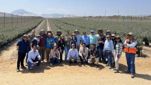 Proarándanos y delegación del U.S. Highbush Blueberry Council recorrieron campos de Hortifruit, Camposol y Prize