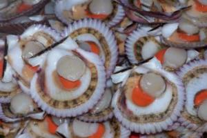 Producción acuícola nacional alcanzó las 144.206 toneladas en 2021, mostrando un aumento de 0.3%