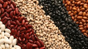 Producción de menestras en Perú creció 80% en los últimos 20 años