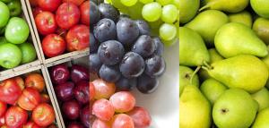 Producción de uva de mesa, manzanas y peras de Chile caerían en la campaña 2020/2021