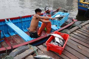 Produce financió créditos a pescadores artesanales y acuicultores por S/ 2.6 millones