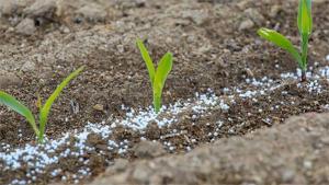 Productividad del pequeño y mediano agricultor en nuestro país es de las más bajas de la región